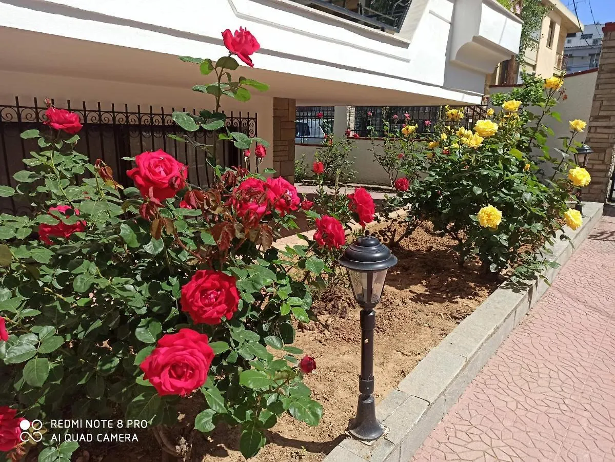 Olga'S Apartments Olympus And Garden View 네아 미카니오나 그리스