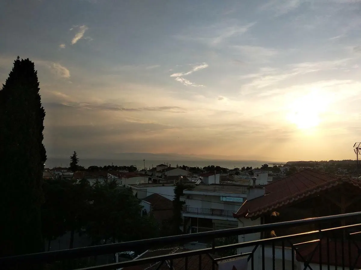 Olga'S Apartments Olympus And Garden View 네아 미카니오나